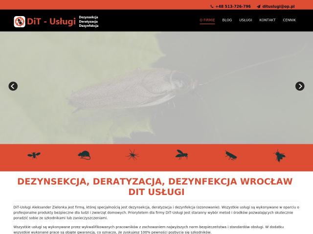 DiT-Usługi