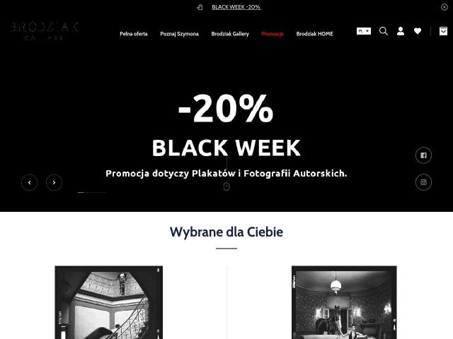 Brodziak Gallery